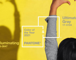 Yılın Pantone Rengi 2021